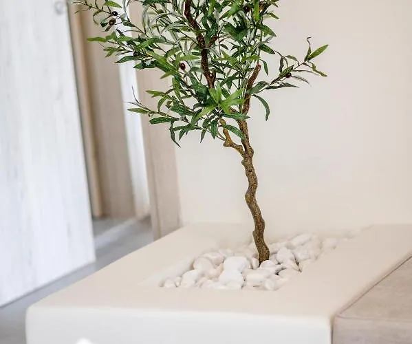 Jonathan Appartement